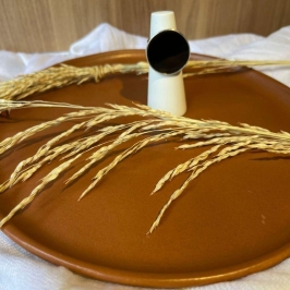 ANEL REGULAVEL CIRCULO PRETO