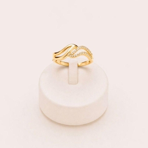 ANEL TRABALHADO FOLHAS